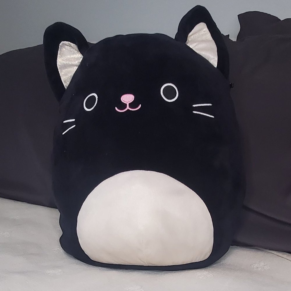 Black Cat Squishmallow
